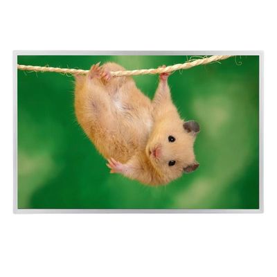 LM240WU4-SLB1 LCD 24 Inch CCFL Lcd Module Old Liquid Crystal Display