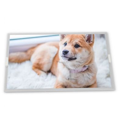 T215HVN01.0 1920*1080 High Resolution 21.5-Inch WLED LCD Display Module