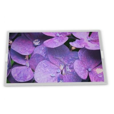 Màn hình LCD TFT A-Si 6.2 inch 720*1520 BV062WFQ-L16-8Q01 CELL