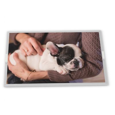 Fornitori di qualità CELL da 8 pollici a-Si TFT-LCD B080EAN04.2, modulo display LCD a schermo rettangolare in stock, display per ascensore