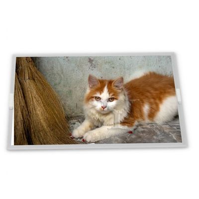 9 Zoll a-Si TFT-LCD TM090RFH01 Online-One-Stop-Shopping rechteckiger Bildschirm LCD-Anzeigetafel neu und original