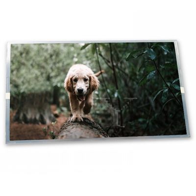Display Module 1366*768 Lcd Screen Module 15.6 Inch HT156WX1-100 Lcd Monitor