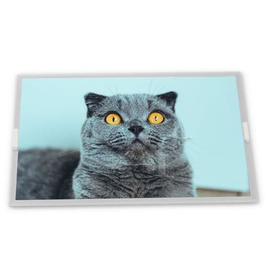 Industrial control screen quality suppliers new SP24V01L0ALZZ lcd display module 9.4" lcd screen panel