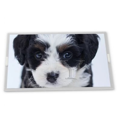 قیمت مناسب قیمت مناسب صفحه نمایش ال سی دی 10.2 اینچی 1024*600 CLAA102NA0DCW برای نمایشگر خودرو