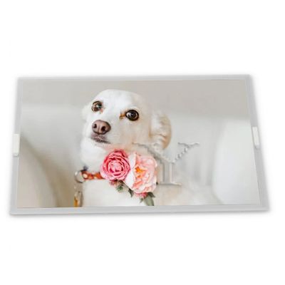 Industry LCD Panel 128*64 PG12864K