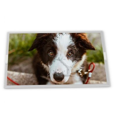 LTM10C209A 10.4 &quot;640*480 TFT-LCD Màn hình