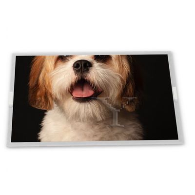 2.2-इंच WLED TFT LCD डिस्प्ले मॉड्यूल TM022HDHT11 240*320 रेज़ोल्यूशन विशिष्ट एप्लीकेशन ODM सप्ला