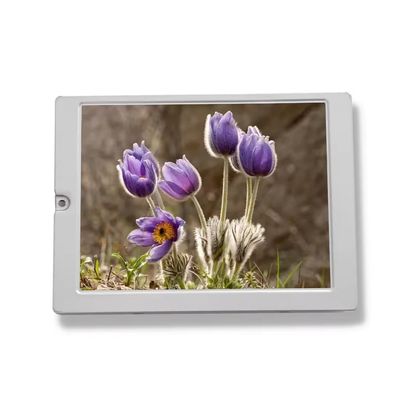 KG057QV1CA-G050 شاشة LCD مقاس 5.7 بوصة من نوع STN TFT LCD لوحة عرض 320*240 وحدة