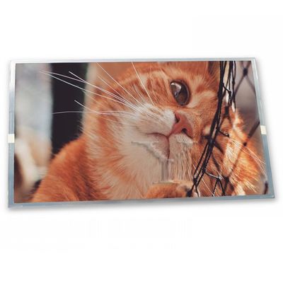 ODM Özel 5,1 İnç WLED LCD Ekran Modülü SP14N01L6ALCZ 240*128 Çözünürlük Özel Uygulama Uygun LCD Modülleri