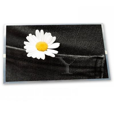 LMS500HF13-003 High-quality Services 5 Inch Industrial Control Lcd Screen 480*272 Good Price Lcd Display Panel