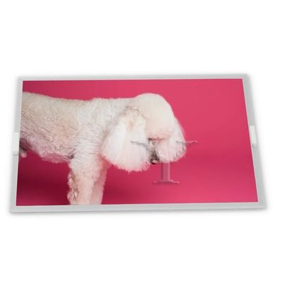 stock Compatible 15.0-Inch WLED LCD Display Module Customizable 1024*768 Resolution ODM G150XGE-L04 Modules