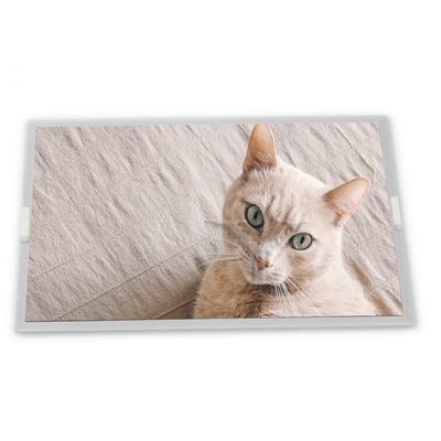 Màn hình LCD WLED 19.0 inch tùy chỉnh với độ phân giải 1280*1024 Mô-đun ODM G190ETN01.4 Mô-đun chất lượng tốt