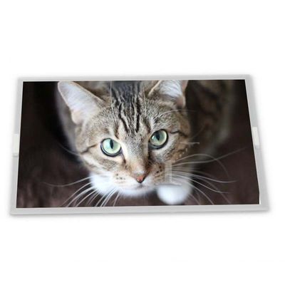 Módulo de Display LCD WLED de 19,0 polegadas ODM G190EG02 V104 com resolução de 1280*1024 para o desenvolvimento de novos produtos