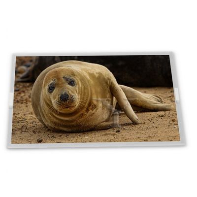 Stok 15,0 İnç WLED LCD Ekran Modülü Özelleştirilebilir 1024*768 Çözünürlük NL10276AC30-42C Uyumlu LCD Modüller