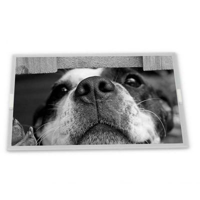 ماژول نمایشگر LCD 15.0 اینچی AA150XN09 WLED سفارشی ODM با رزولوشن 1024*768 برای وسایل نقلیه جدید