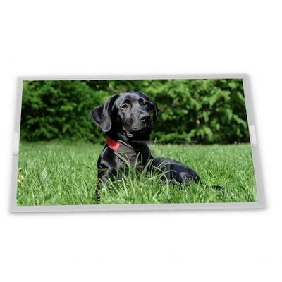 High Quality Service N156HCE-GN1 1920*1080 Resolution Lcd Display Panel 15.6 Inch Lcd Screen Module