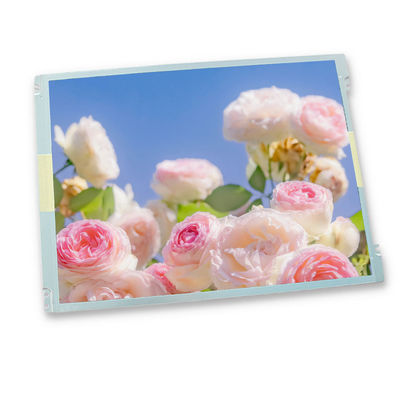 G104SN03 V.1 Módulo de pantalla LCD de 10.4" Panel LCD 800*600 LVDS G104SN03 V1