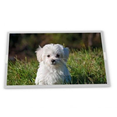 11.6インチ 1920x1080 G116HAN01.0 TFT IPSパネルディスプレイ 薄膜トランジスタ 産業用モデル