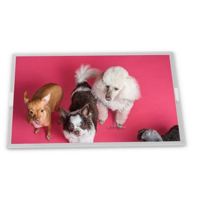 stock Compatible 10.4-Inch WLED LCD Display Module 800*600 Resolution ODM Modules SP14N02L6ALCZ