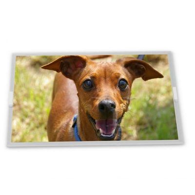 ماژول نمایشگر LCD WLED سفارشی ODM 12.1 اینچی LQ121S1DC71 با رزولوشن 800*600 برای کاربردهای مختلف LCD