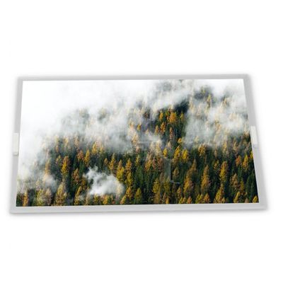 Modulo display LCD WLED da 12,1 pollici personalizzato ODM BA121S01-100 con risoluzione 800*600, moduli LCD adatti a varie applicazioni