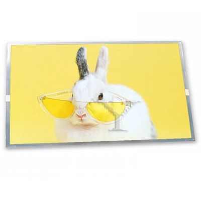 640(RGB)*480 10.4 اینچ A-Si TFT-LCD طیف کاملی از صفحه نمایش های صنعتی LQ10D011 ماژول LCD نمایشگر محصول با کیفیت