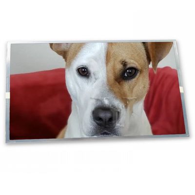 800(RGB)*600 10.4 Ίντσα A-Si TFT-LCD LQ104S1LG81 Μονάδα Οθόνης LCD Ποιοτικοί Προμηθευτές