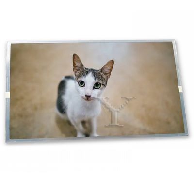 a-Si TFT-LCD 5인치 800(RGB)*480 온라인 원스톱 쇼핑 TX13D204VM0BAA 좋은 가격 LCD 디스플레이 화면