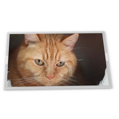7.0-इंच WLED TFT LCD डिस्प्ले मॉड्यूल TM070RBH10-00, 800*480 रिज़ॉल्यूशन के साथ, विभिन्न अनुप्रयोगों के लिए LCD मॉड्यूल के लिए ODM