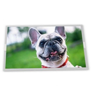 Hoge resolutie 6,5-inch Nieuwe en Goede WLED LCD-schermmodule 640*480 ODM NL6448BC20-35 voor diverse toepassingen