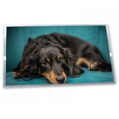 A035CN02 V4 3.5 inch 480*234 display monitors small screen cheap price lcd screen TFT Gold supplier