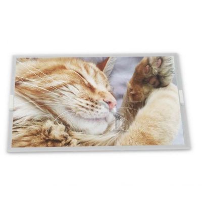 TM046XDHP01 4.7\" Medische Machine Gouden Leverancier LCD Paneel Hoge Kwaliteit LCD Modules