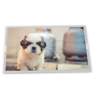 TA066FVWK02 TFT 6.5 Rectangular screen Complete range of industrial screens Quality supplier