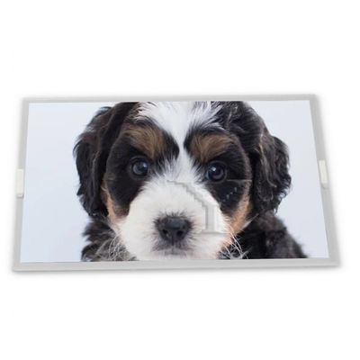 G084SN03 V3 8.4インチ TFT 液晶ディスプレイ LCD スクリーンディスプレイパネル 産業用制御スクリーン 在庫あり 品質サプライヤー 良い価格