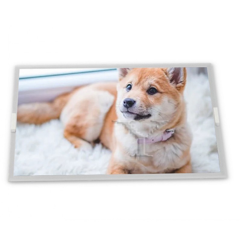 T215HVN01.0 High Resolution 21.5-Inch WLED LCD Display Module 1920*1080 for Various Applications