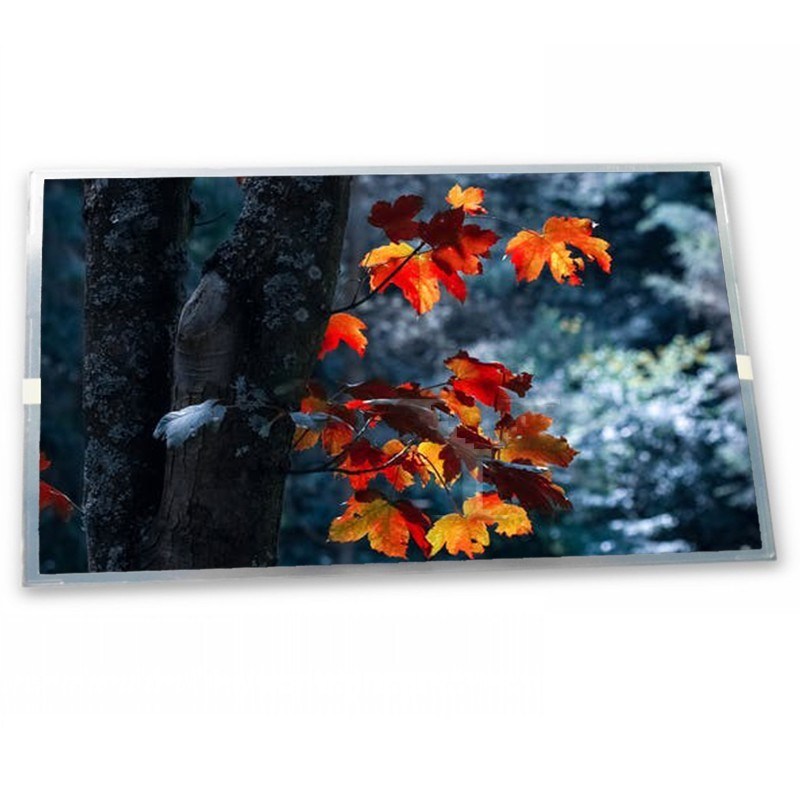 P238HAN01.0 LCD 23.8 Inch 1920*1080 A-Si TFT-LCD Quality Lcd Display