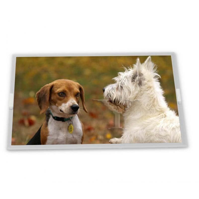 6.2 inch a-Si TFT-LCD A062EAN01.0 high-quality services rectangular screen lcd panel in stock elevator display