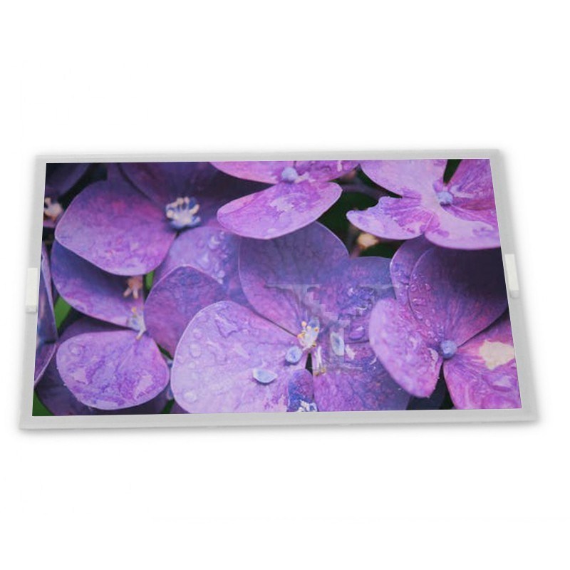 M238DTN01.2 LCD 23.8 inch a-Si TFT-LCD Rectangular Screen Lcd Panel In Stock Elevator Display