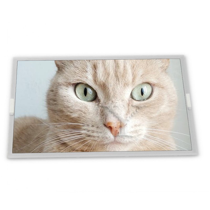 5 Inch TFT LCD Panel 720*1280 MIPI Interface Display ODM AM-OLED BB050HDM-T01-6D00