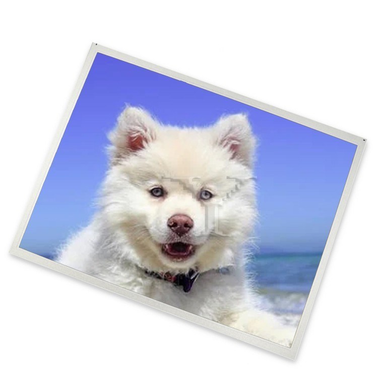 G190ETN01.0 19 Inch Lcd Screen A-Si TFT-LCD 1280*1024 Lcd Display Panel