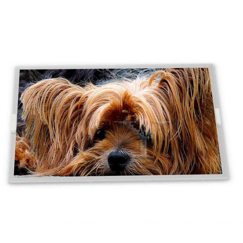 G150XTN03.8 WLED 15 Inch Tft Lcd Screen 1024*768 Lcd Display Panel 30 Pins