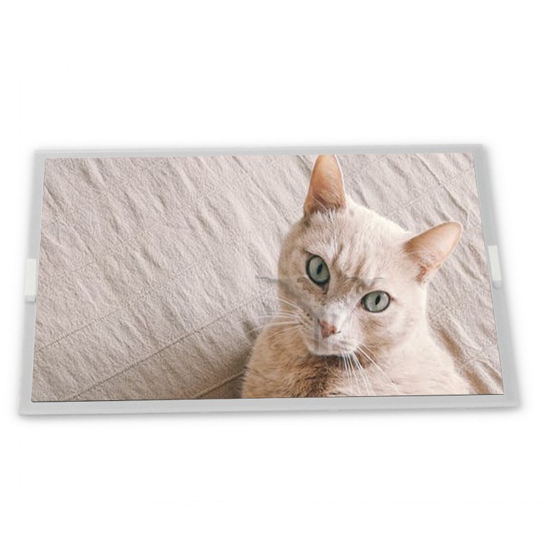 4,3-inch WLED WLED LCD-scherm LB043WV2-SD01 Module 480*800 Resolutie Specifieke Toepassing Geschikte LCD-modules ODM-leverancier