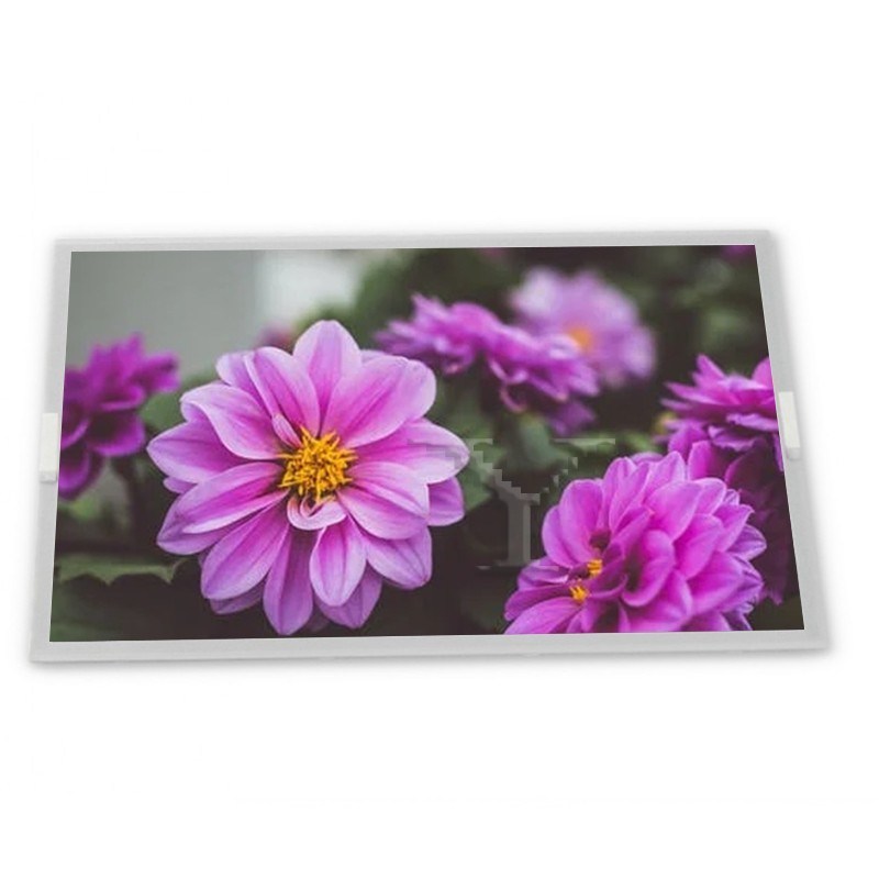 ODM 15.6-Inch WLED LCD Display Module G156HAN04.0 with 1920*1080 Resolution for New Vehicles