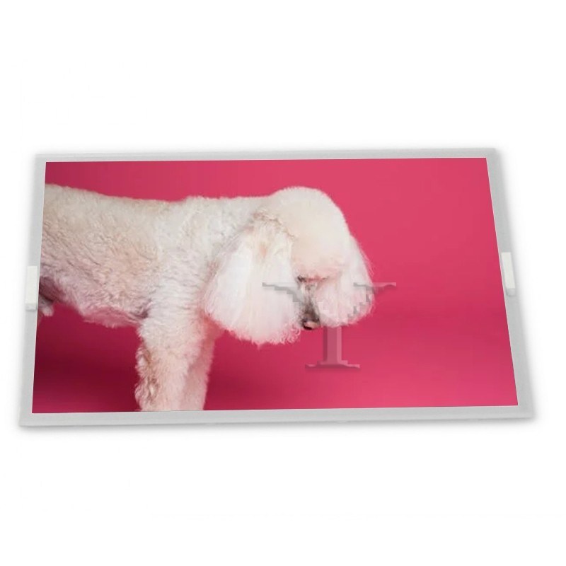 ماژول نمایشگر آسانسوری LCD WLED 15.0 اینچی سازگار با سهام، قابل تنظیم، رزولوشن 1024*768، ماژول های ODM LQ150X1LW96