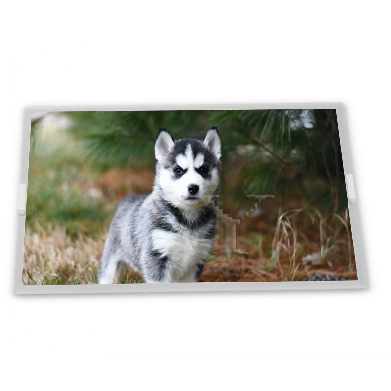 stock Compatible 10.4-Inch WLED LCD Display Module 640*480 Resolution ODM LQ104V1LG81 Modules