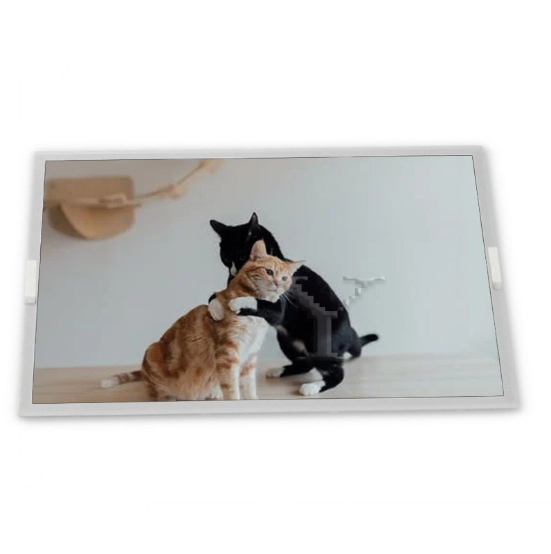 カスタムODM 10.4インチWLED LCDディスプレイモジュール NL8060BC26-17、800*600解像度、様々な用途に適したLCDモジュール