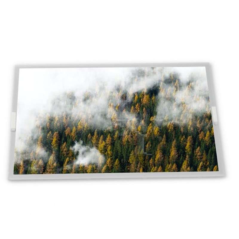 Modulo display LCD WLED da 12,1 pollici personalizzato ODM BA121S01-100 con risoluzione 800*600, moduli LCD adatti a varie applicazioni