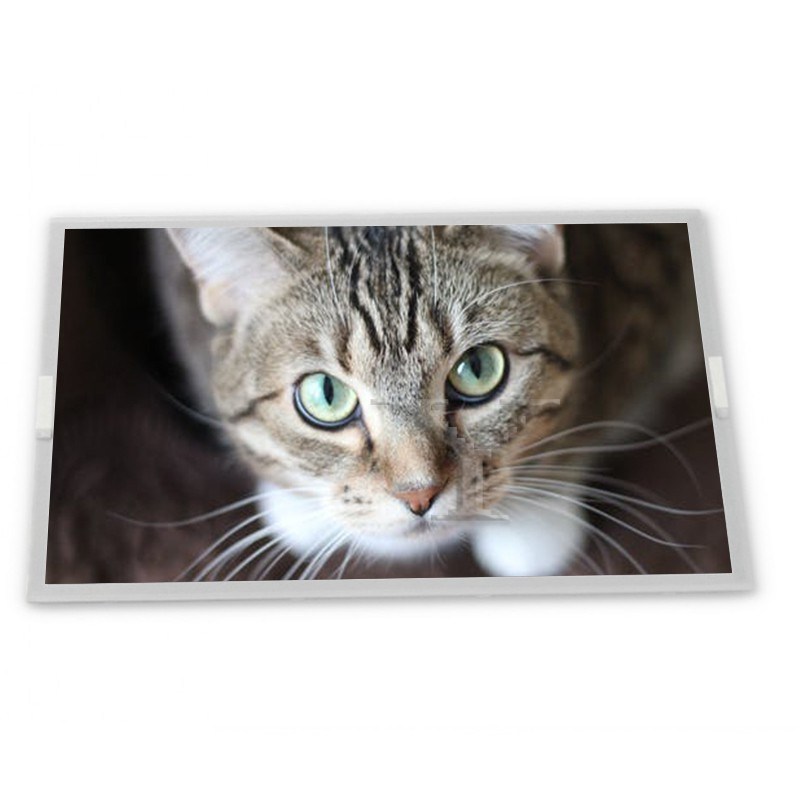 ODMサプライヤーの12.1インチWLED LCDディスプレイモジュール NL10276BC24-21 1024*768解像度 様々なエレベーターおよびLCD用途向け