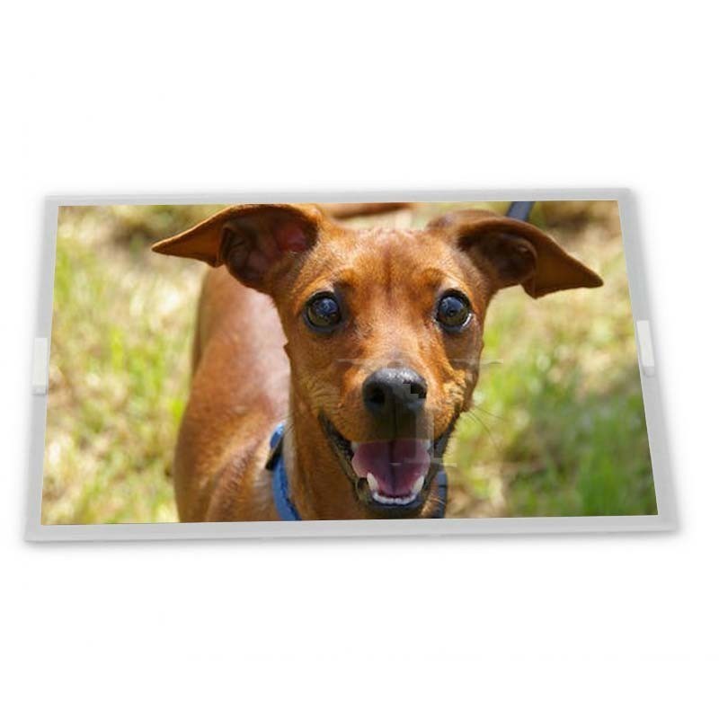 ماژول نمایشگر LCD WLED 12.1 اینچی LQ121S1LG61 با رزولوشن 800*600 برای کاربردهای مختلف آسانسور و LCD