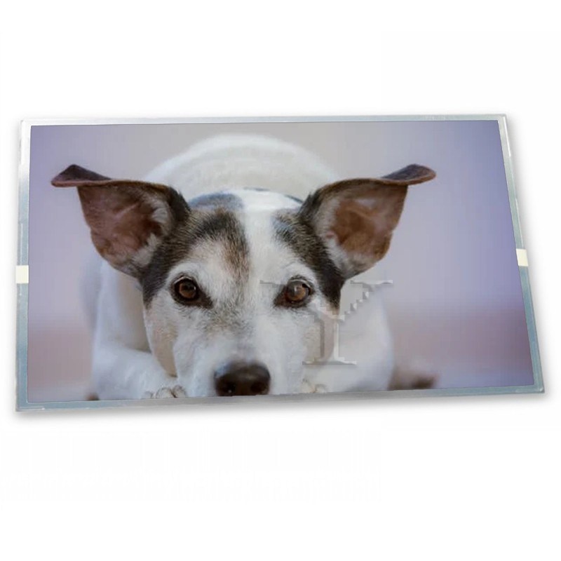 T-51513D104JU-FW-A-AC 10.4-Inch WLED LCD Display Module with 640*480 Resolution Specific Application ODM Suppliers